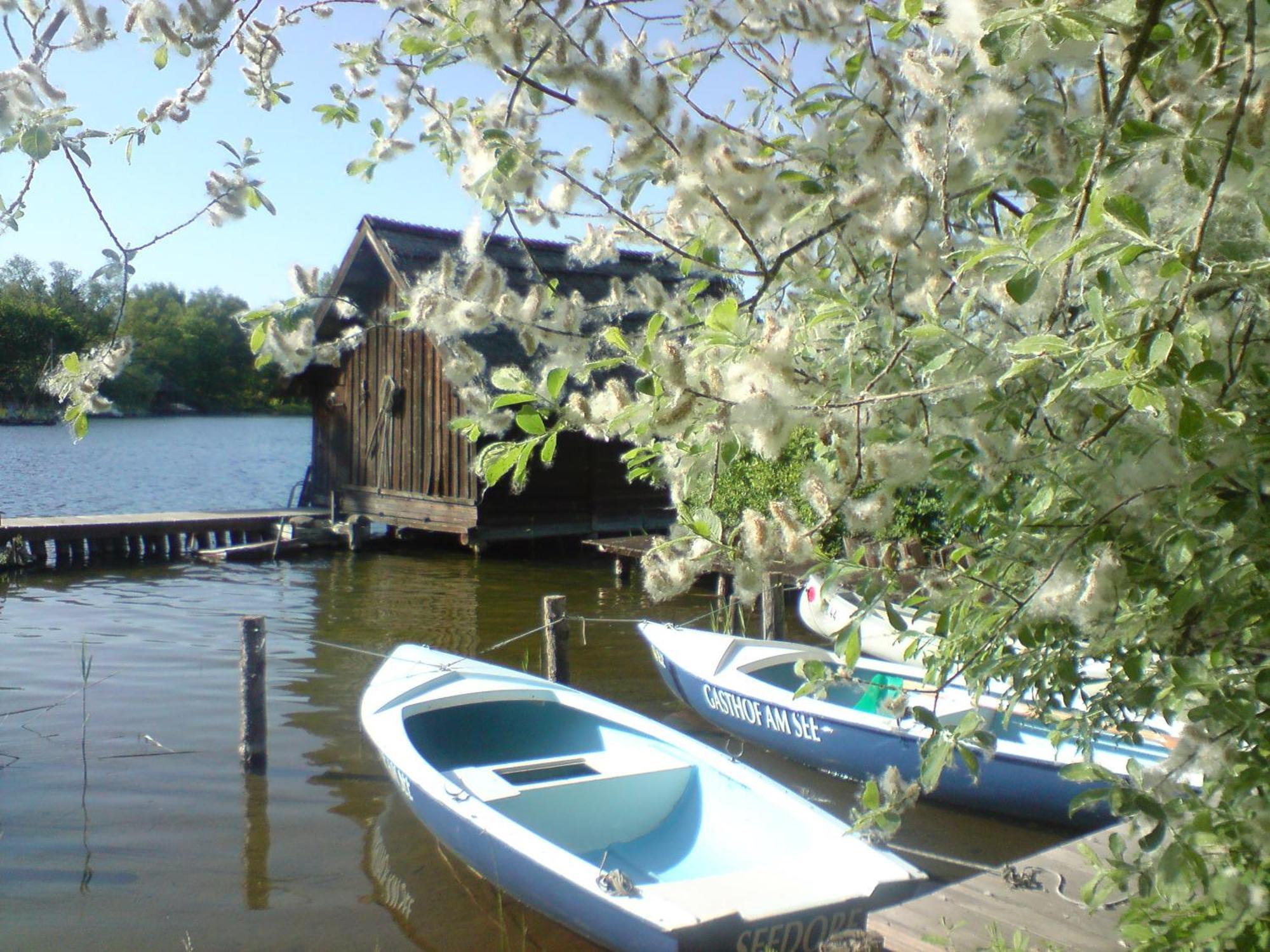 Gasthof Am See Hotel Seedorf  Eksteriør billede